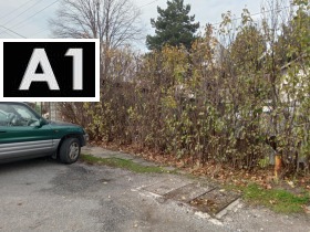 ����� ������� ������,���� �����, �������