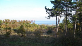 ������� ������ | Imot.bg � ����� ������ 8