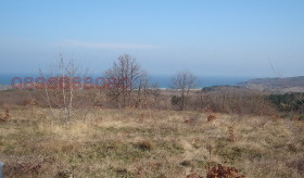 ПАРЦЕЛ, 10 000 m2