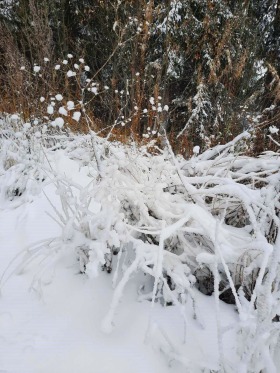 ������� ������ | Imot.bg � ����� ������ 2