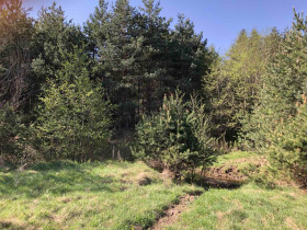 ������� ������ | Imot.bg � ����� ������ 2