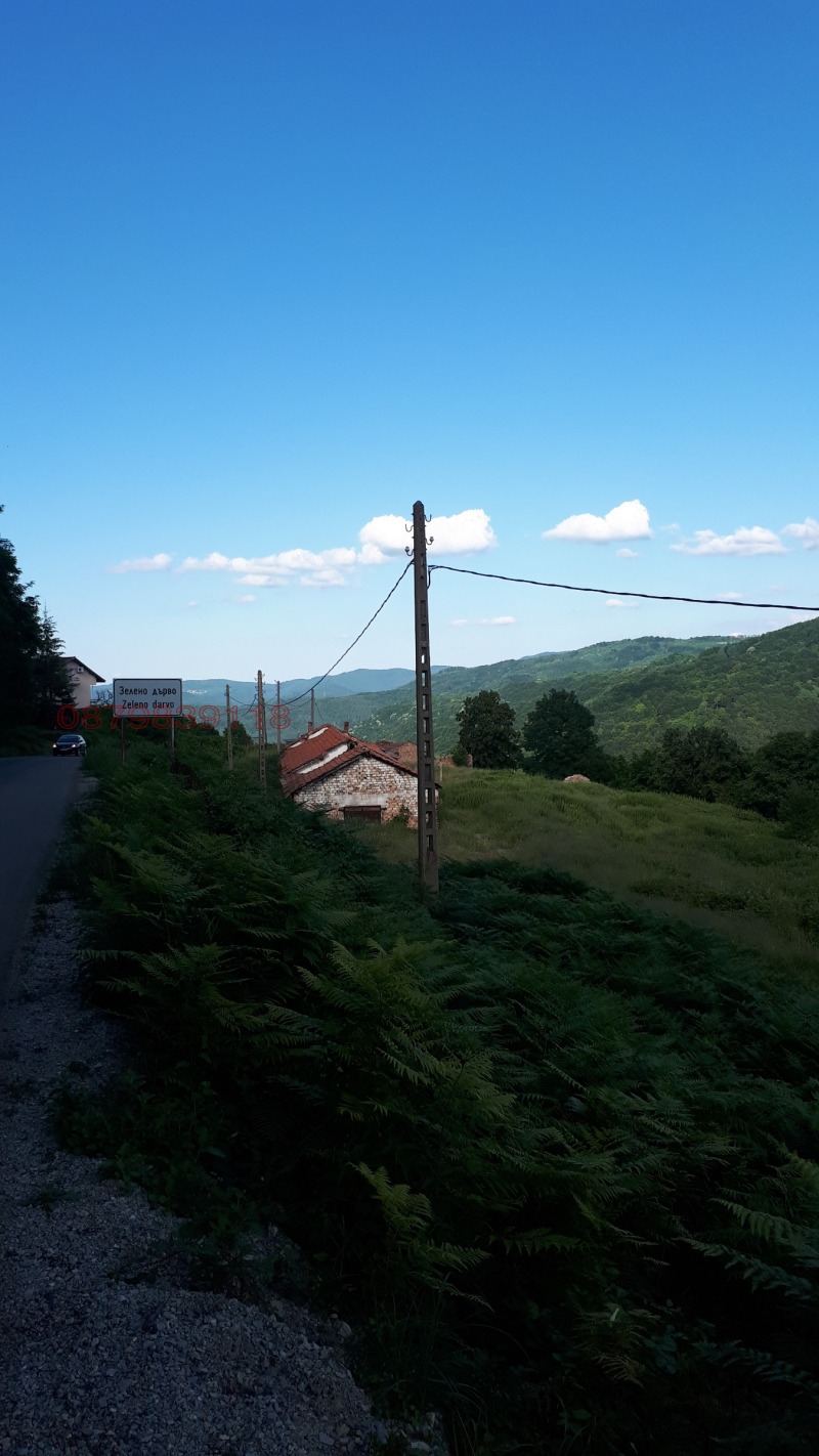 À vendre  Parcelle région de Gabrovo , Zeleno darvo , 6000 m² | 86510472 - image [3]