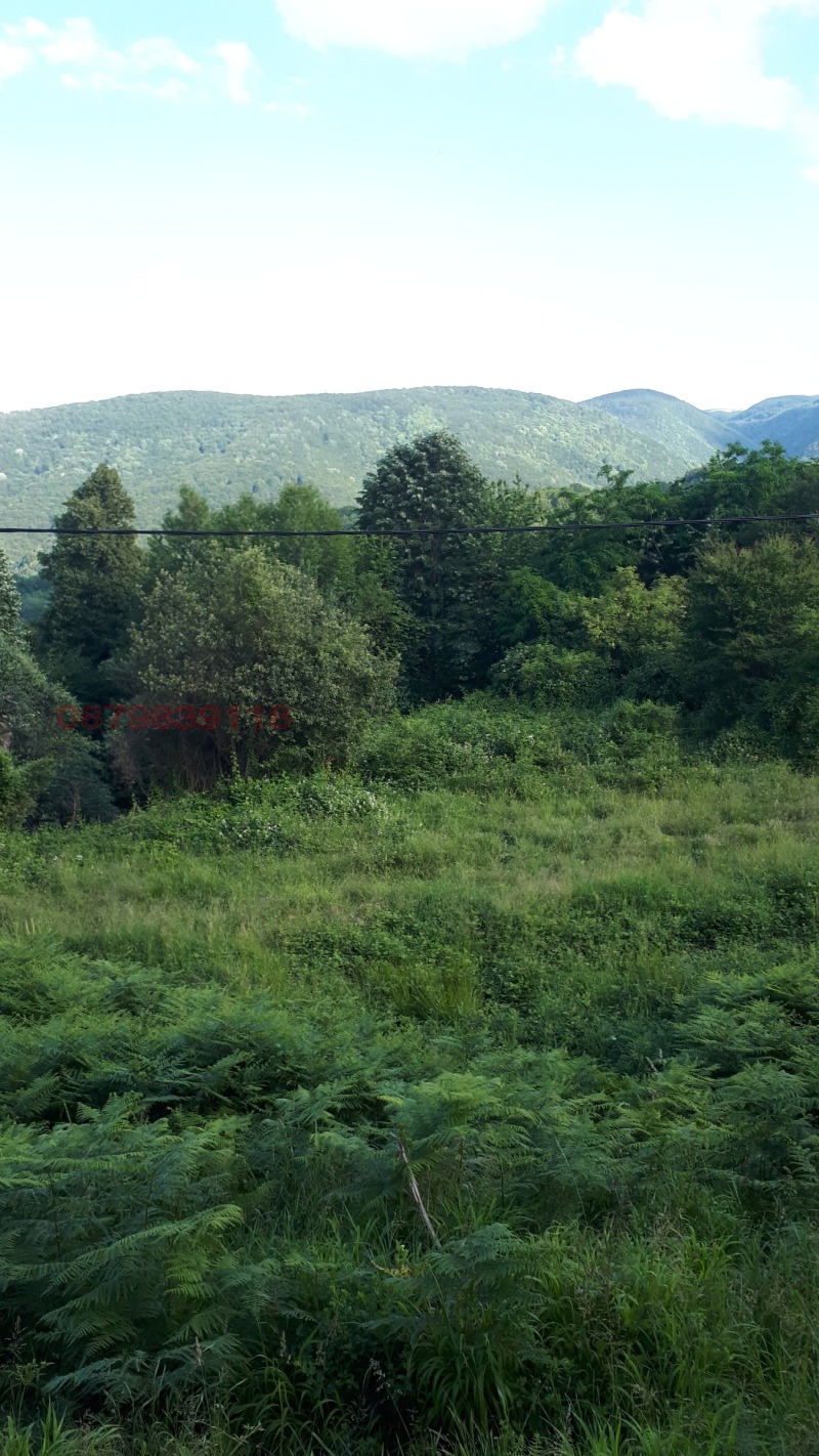À vendre  Parcelle région de Gabrovo , Zeleno darvo , 6000 m² | 86510472 - image [2]