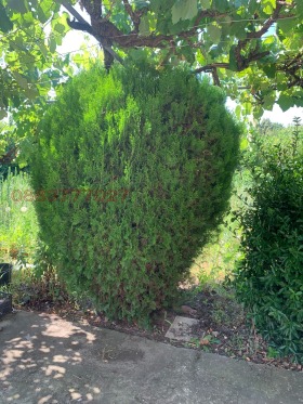 ������� ���� | Imot.bg � ����� ������ 9