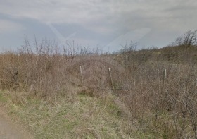 ����� ������� ������,�. �����, ������ ������