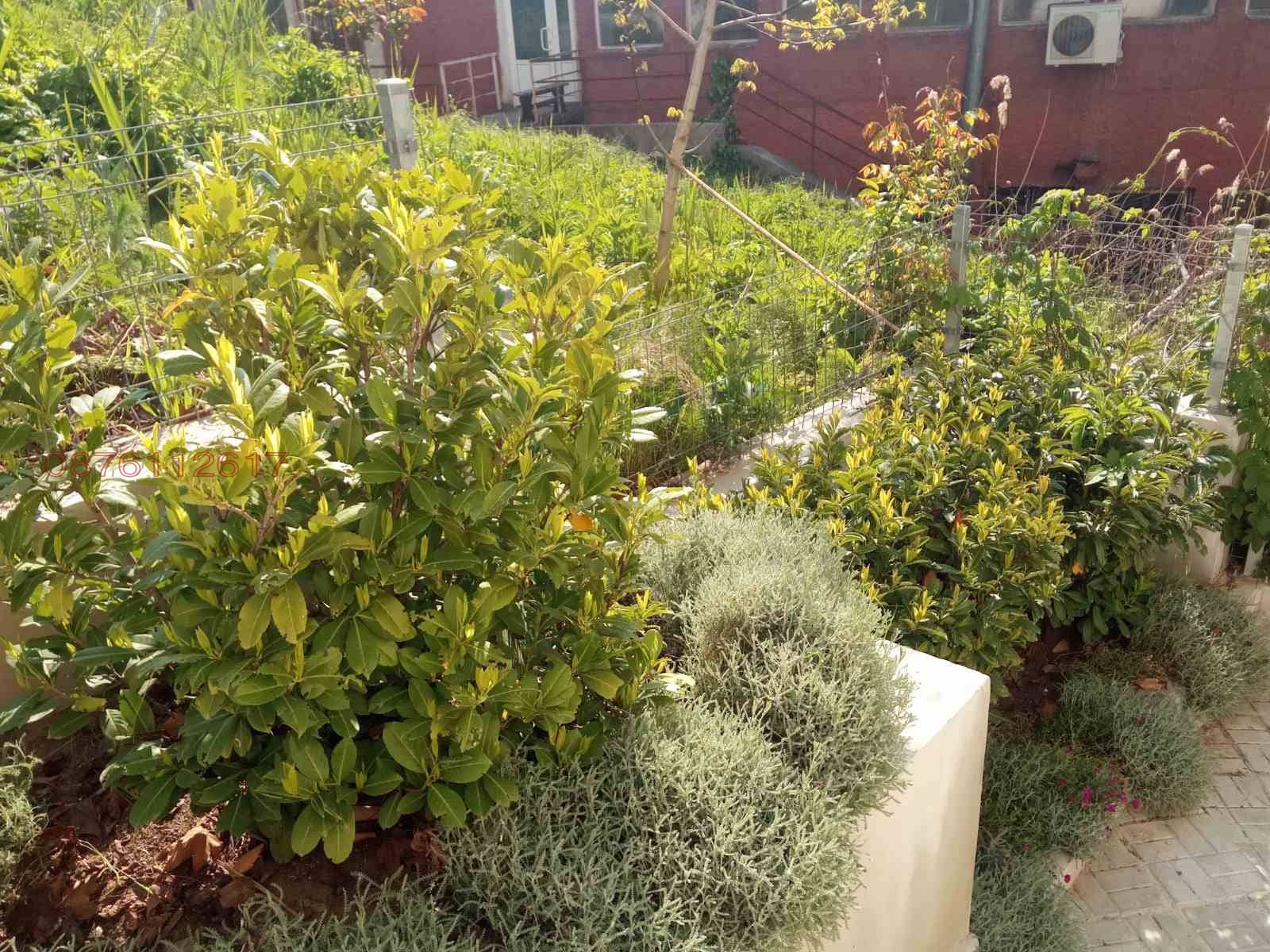 Продава 3-СТАЕН, гр. Варна, Бриз, снимка 8 - Апартаменти - 54411898