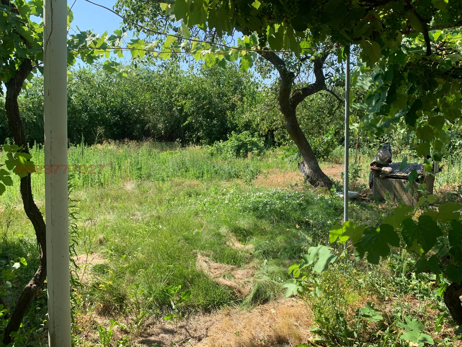 Продава КЪЩА, с. Мъдрец, област Стара Загора, снимка 5 - Къщи - 55210744
