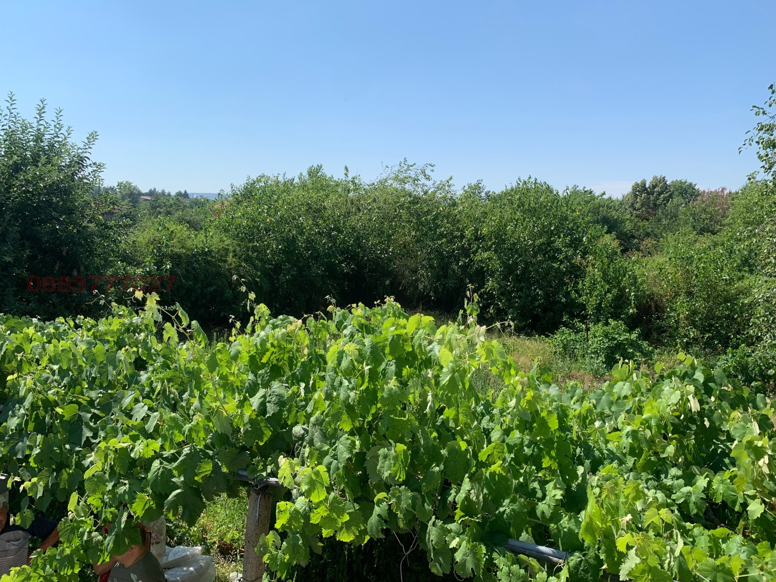 Продава КЪЩА, с. Мъдрец, област Стара Загора, снимка 10 - Къщи - 55210744