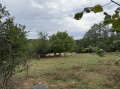Продава ПАРЦЕЛ, област Габрово, с. Велковци • 25000 € • 61389217 — Holmes.bg