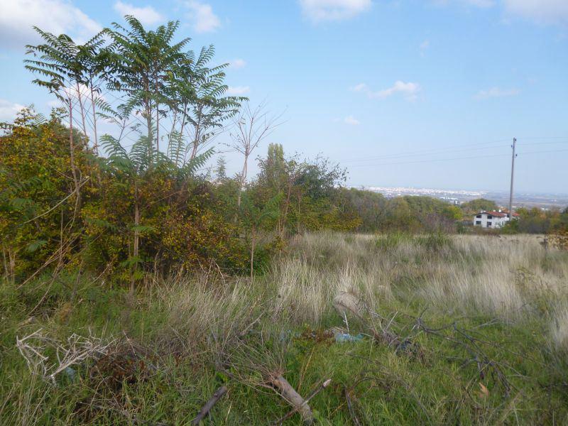 ������� ������ | Imot.bg � ����������� 3