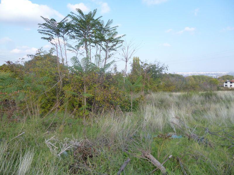 ������� ������ | Imot.bg � ����������� 1