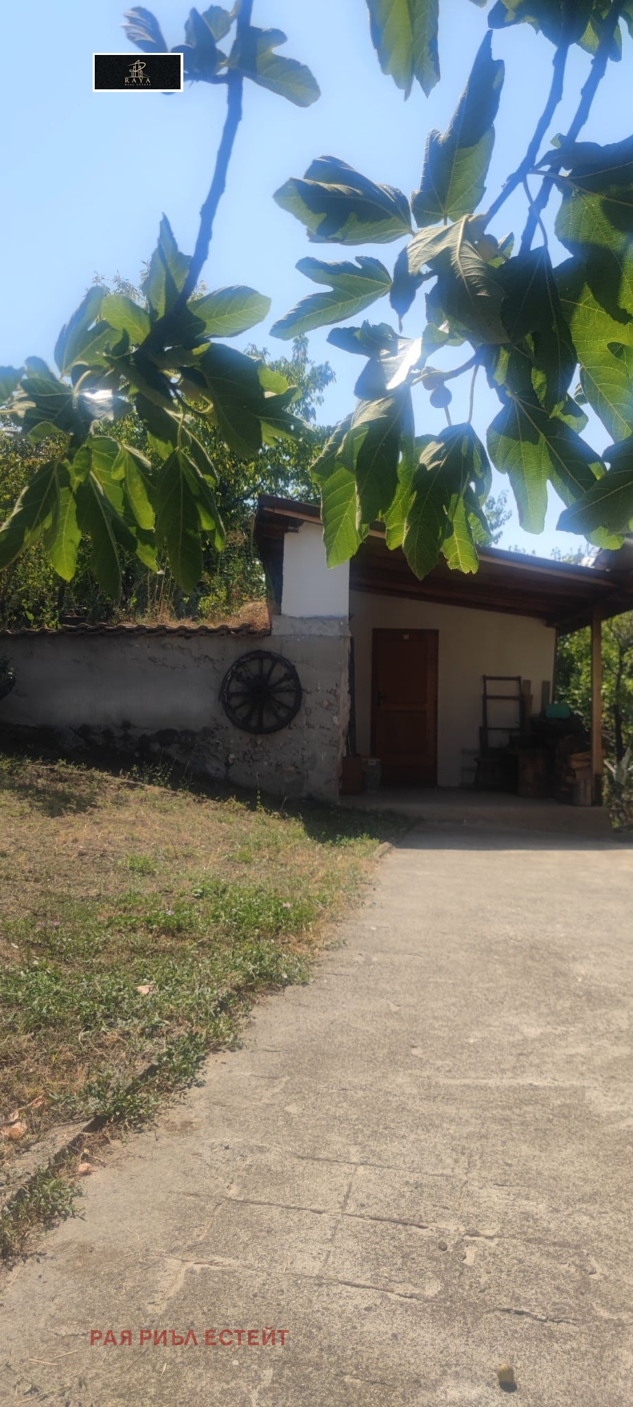 ������� ���� | Imot.bg � ����������� 8