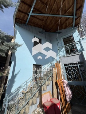 ����� ������� ����,���� �������, ������