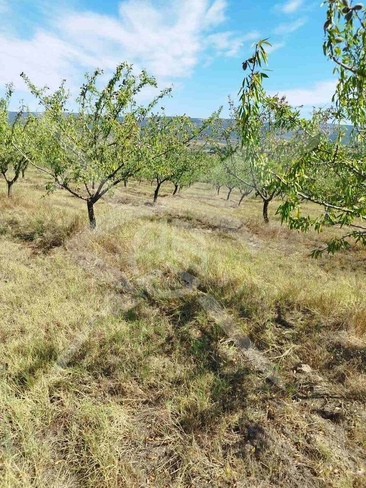 Продава ПАРЦЕЛ, с. Страцин, област Бургас, снимка 2 - Парцели - 52610144