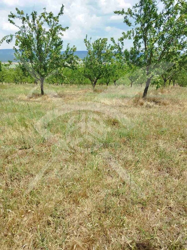 Продава ПАРЦЕЛ, област Бургас, с. Страцин • 57000 € / 111482.31 лв. • 96949217 1