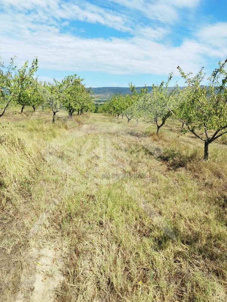 Продава ПАРЦЕЛ, с. Страцин, област Бургас, снимка 3 - Парцели - 52610144