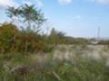 Продава ПАРЦЕЛ, област Пловдив, с. Белащица • 81900 € • 41105546 — Holmes.bg