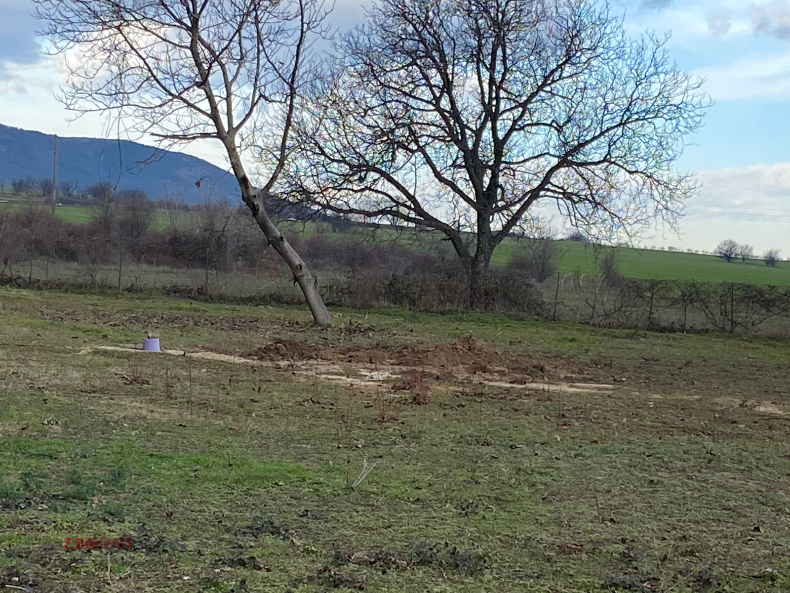 ������� ������ | Imot.bg � ����������� 3