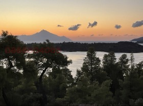 ����� ������� ����,���������, ������