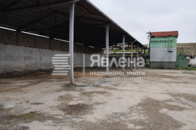 ����� ������� �����,�. ������, ������ �������