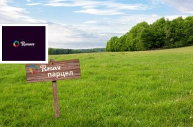 ����� ������� ������,���� �����, �-� �������