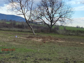 ����� ������� ������,�. ���������, ������ �������