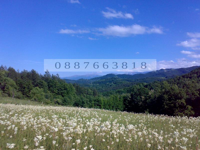 Продава ПАРЦЕЛ, с. Драшкова поляна, област Ловеч