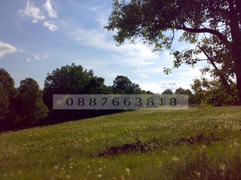 Продава ПАРЦЕЛ, с. Драшкова поляна, област Ловеч, снимка 5 - Парцели - 52780594