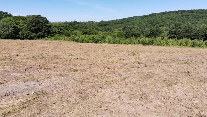 Na prodej  Spiknutí Varna , Zvezdica , 500 m2 | 66703352 - obraz [2]