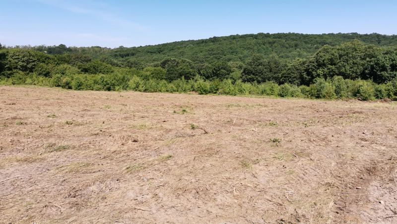 Na prodej  Spiknutí Varna , Zvezdica , 500 m2 | 66703352 - obraz [5]