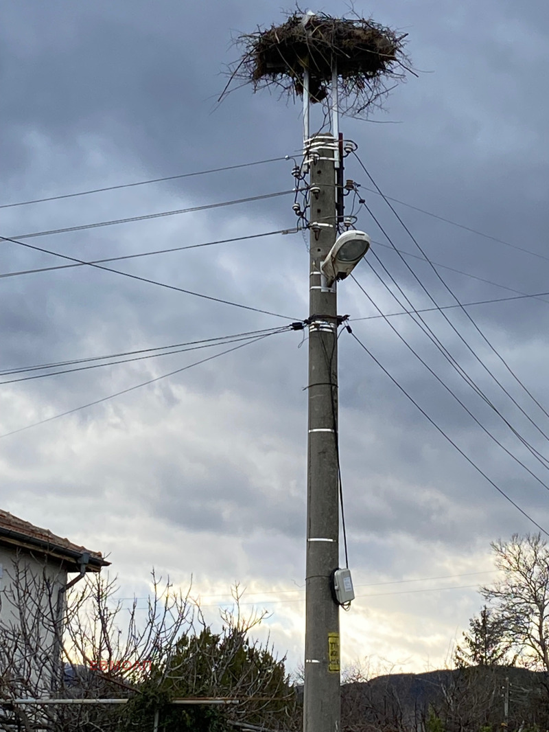 Продава ПАРЦЕЛ, с. Долнослав, област Пловдив, снимка 3 - Парцели - 52985926