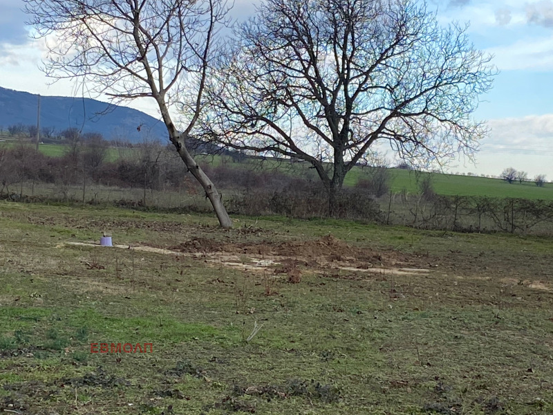 Продава ПАРЦЕЛ, с. Долнослав, област Пловдив, снимка 2 - Парцели - 52985926