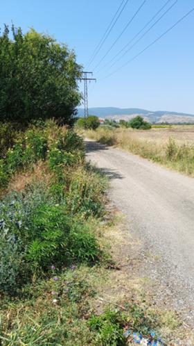 Grund Parvenets, region Plovdiv 4