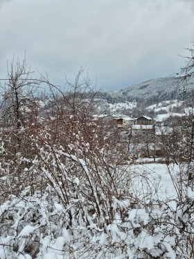 Grund Kokalyane, Sofia 1