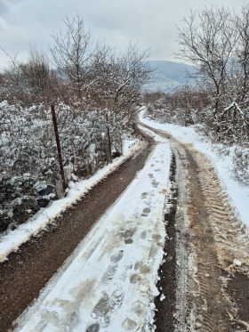 Plott Kokaljane, Sofia 2