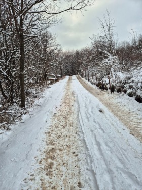 Trama Kokalyane, Sofia 3