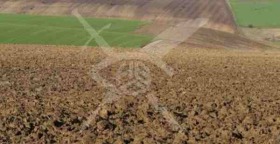 ����� ������� ���������� ����,�. ����, ������ ������