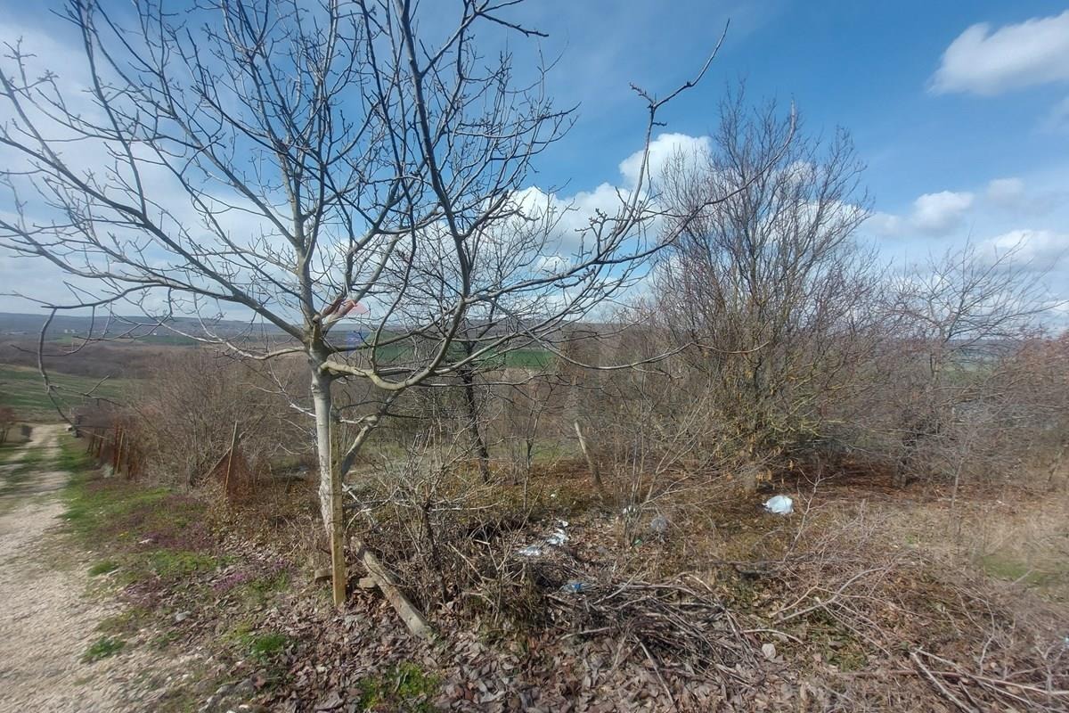 Продава ПАРЦЕЛ, с. Кранево, област Добрич, снимка 5 - Парцели - 55049846