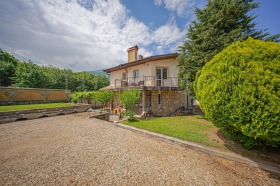 ������ ������� ����