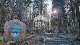 ����� ������� ������,���� �����, �����