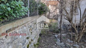 ����� ������� ������,���� �����, �����