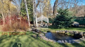 ����� ������� ������,���� �����, �����