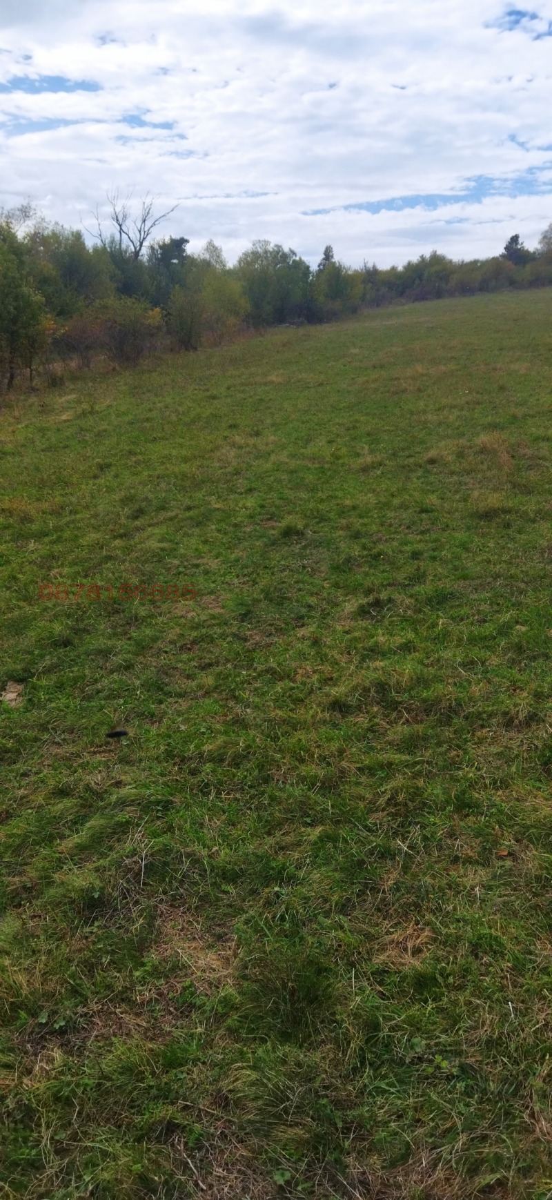 For Sale  Plot Sofia , Gorna banya , 16500 sq.m | 20495500 - image [12]