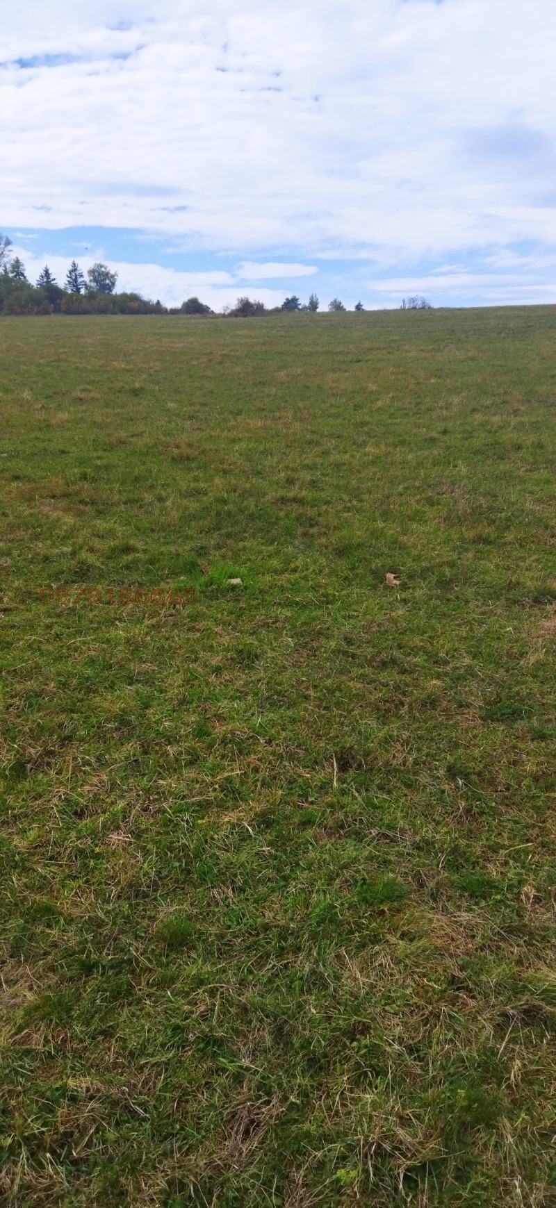 For Sale  Plot Sofia , Gorna banya , 16500 sq.m | 20495500 - image [10]