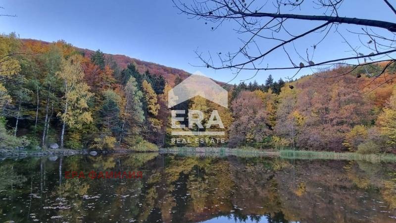 Продава ПАРЦЕЛ, гр. София, Бояна, снимка 7 - Парцели - 53875344