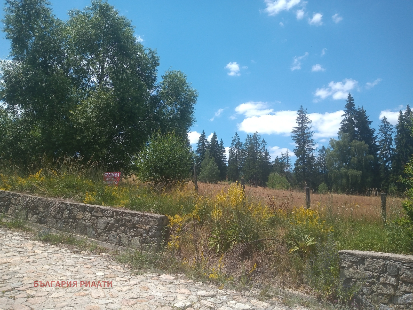 ������� ������ | Imot.bg � ����������� 7