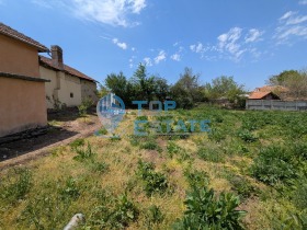 Grund Kutsina, region Veliko Tarnovo 4