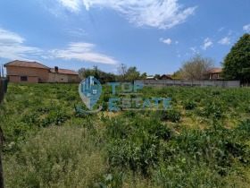 Grund Kutsina, region Veliko Tarnovo 3