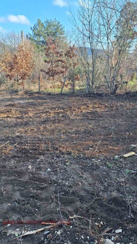 ������� ������ | Imot.bg � ����� ������ 9