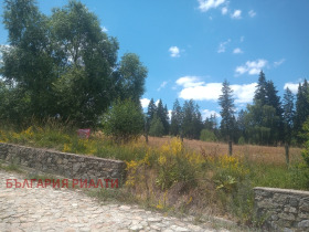 ������� ������ | Imot.bg � ����� ������ 7